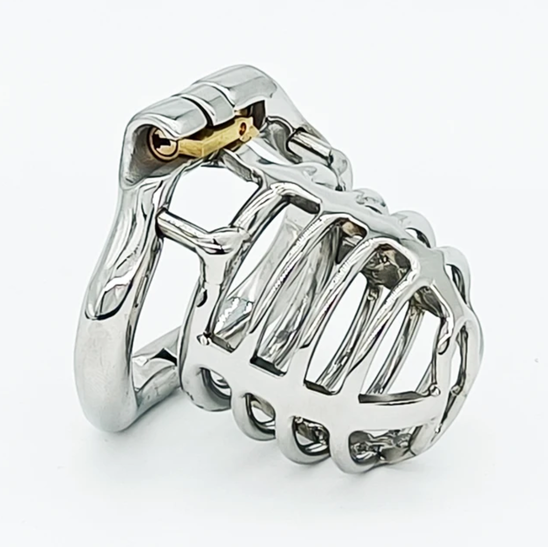 Metal Chastity Cage with Arc Penis Ring