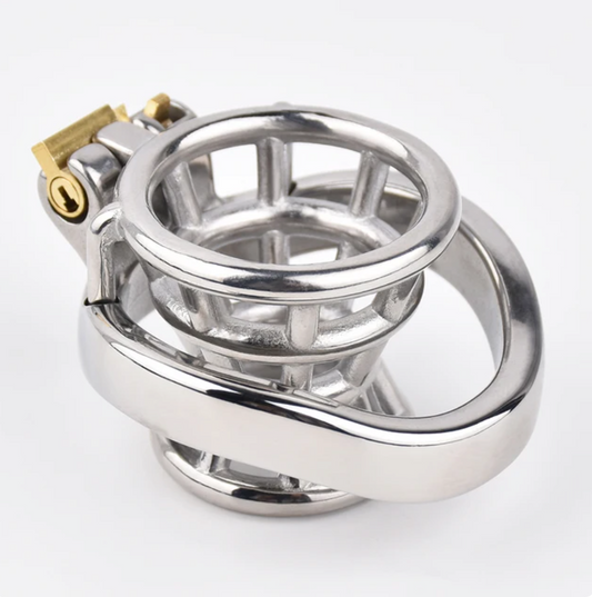 Inverted Negative Chastity Cage For Men Stainless Steel Small Cock Lock