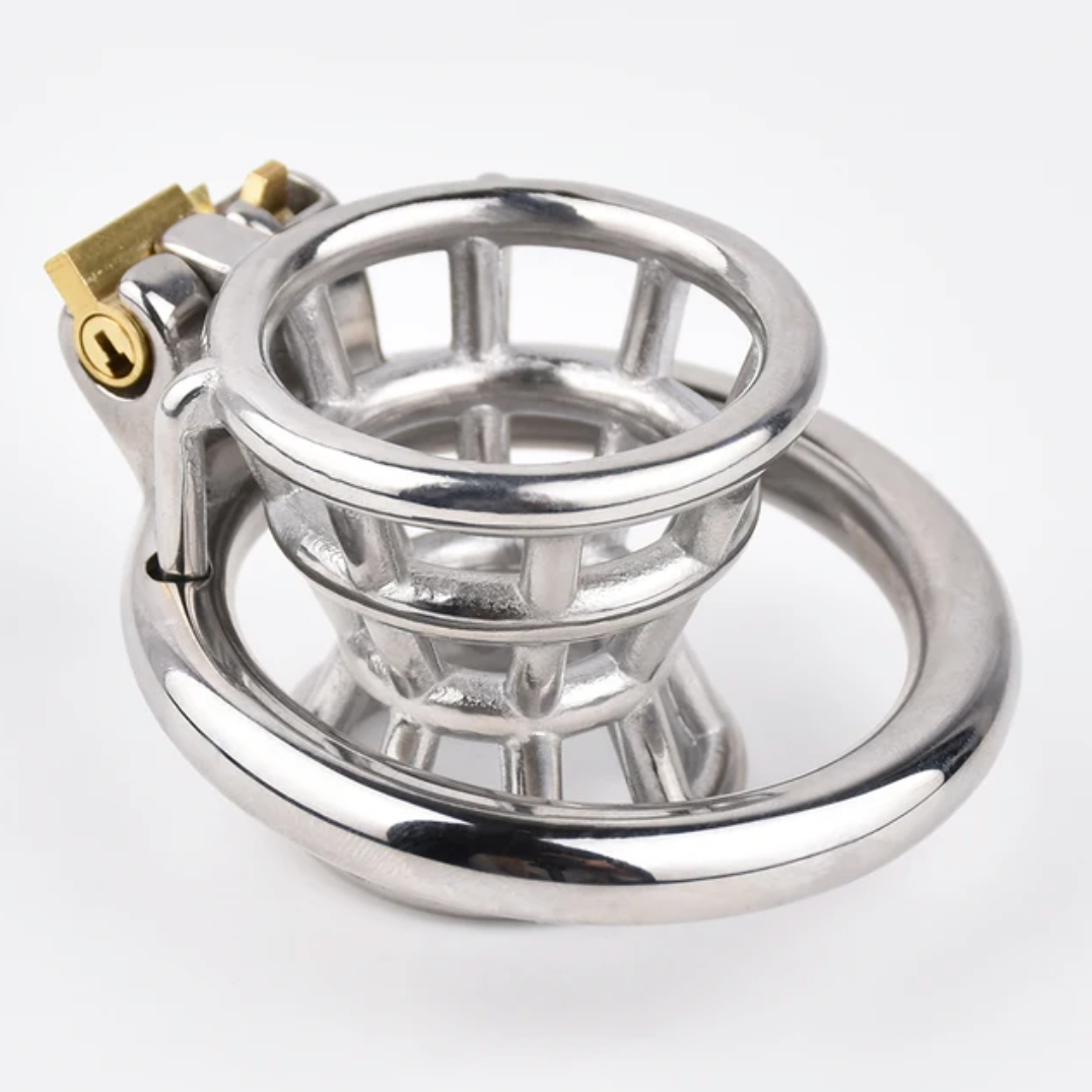 Inverted Negative Chastity Cage For Men Stainless Steel Small Cock Lock