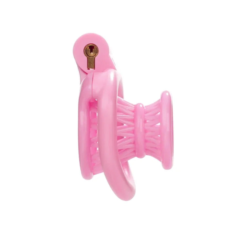 Small Inverted Chastity Cage for Men Lightweight Sissy Cock Lock with 4 Size Penis Rings