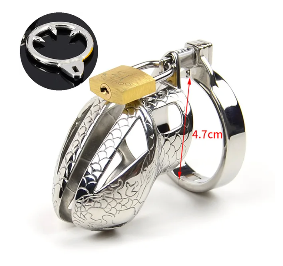 Stainless Steel Dragon Cock Cage Metal Male Chastity Device with Spikes