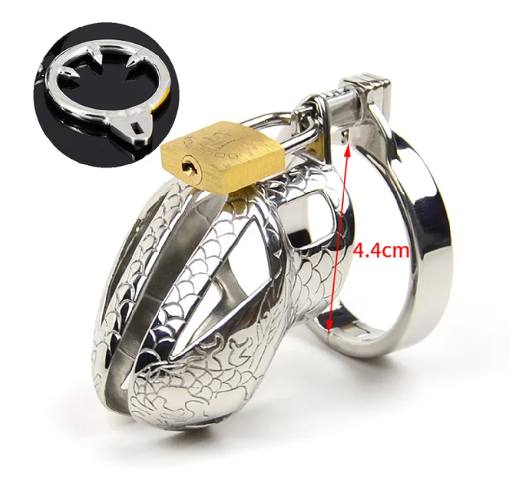 Stainless Steel Dragon Cock Cage Metal Male Chastity Device with Spikes